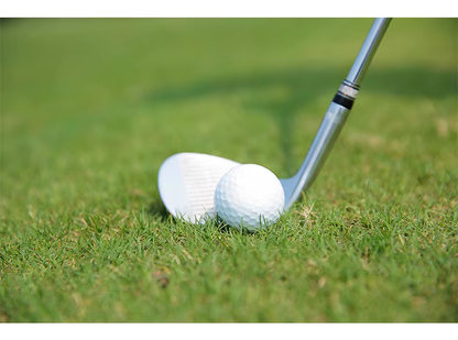 WanderS Custom High Quality 3 Line 3 Layer Golf Ball Tournaments Golf Balls For Game
