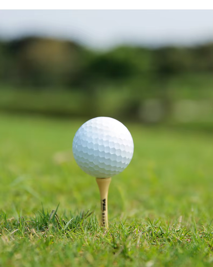 WanderS Custom High Quality 3 Line 3 Layer Golf Ball Tournaments Golf Balls For Game by WanderS