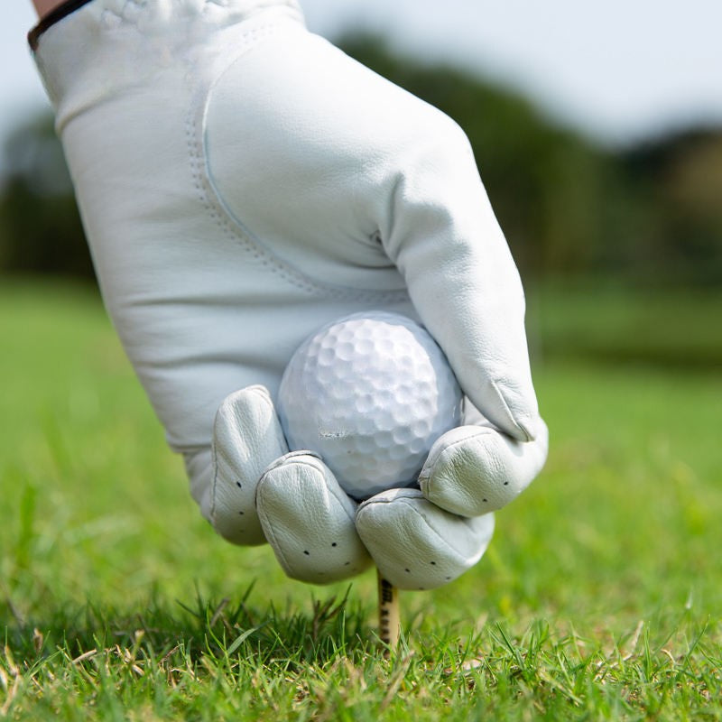 WanderS Custom 1 Layer Durable Rubber Practice Training Golf Ball For Driving Rang